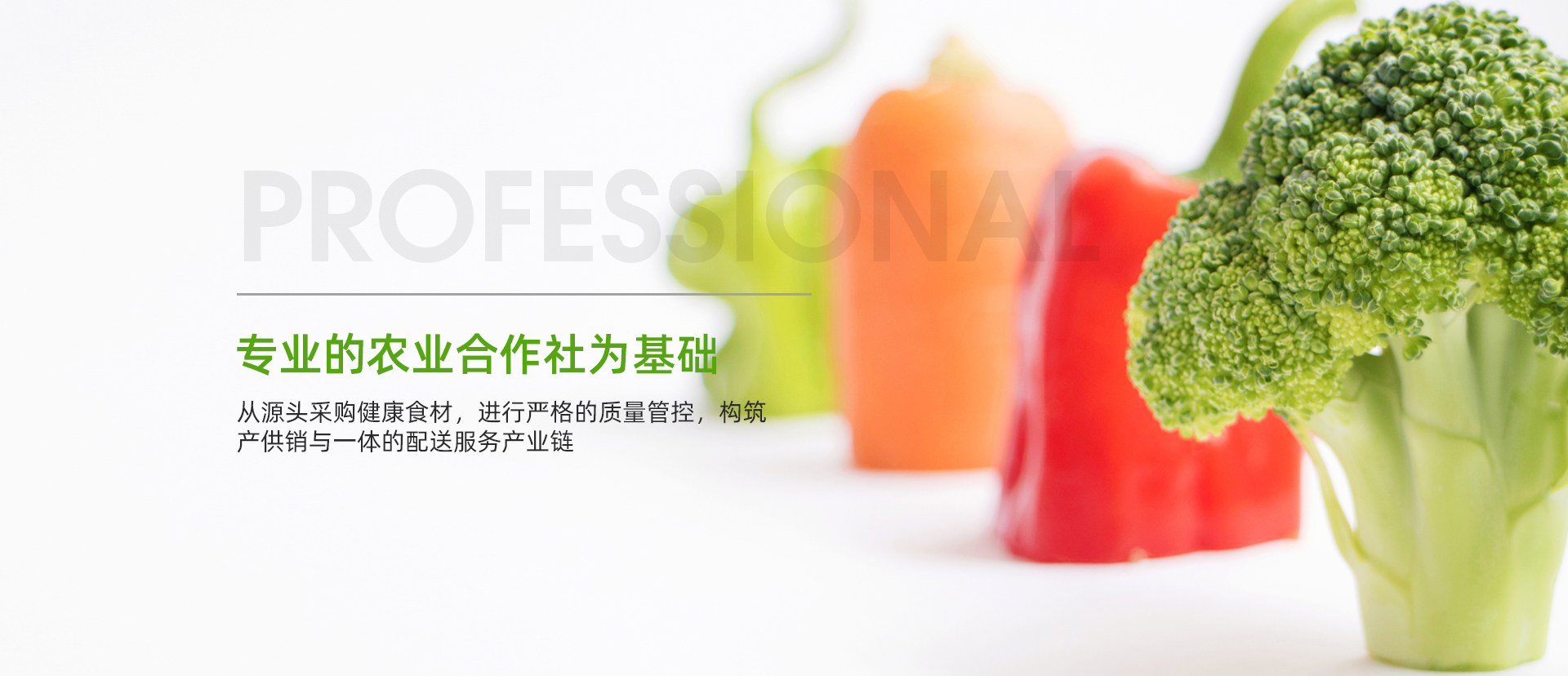 諸城市天豐牧業(yè)有限公司